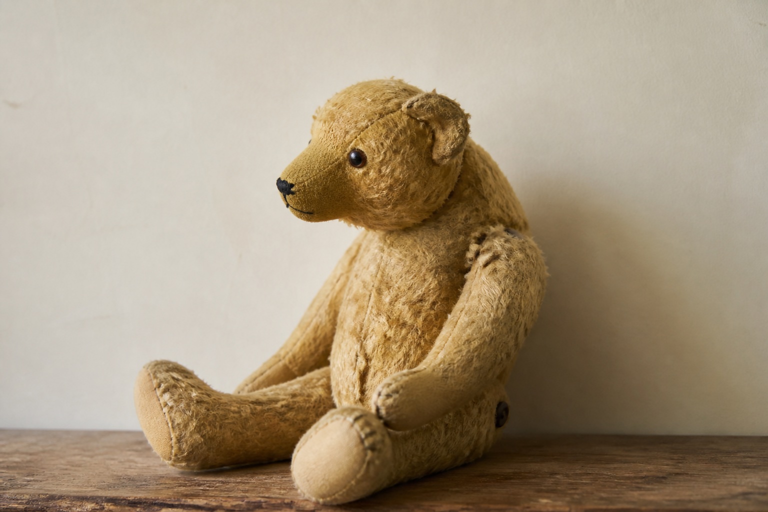 Alter goldfarbener Mohairbär mit langer Schnauze, Buckel und Scheibengelenken sitzt vor einer hellen Wand