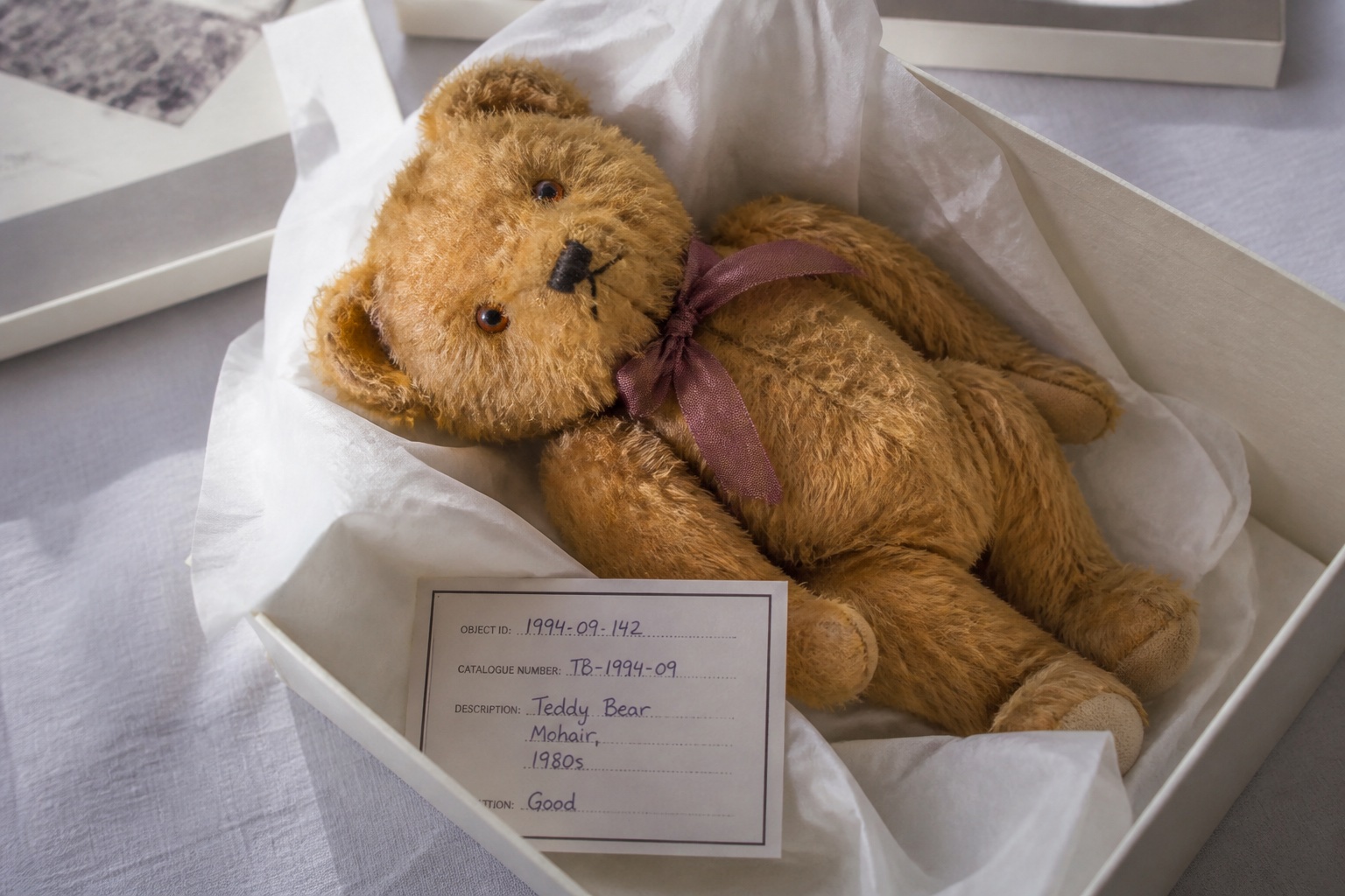Teddybär liegt in weißem Seidenpapier in einem flachen Archivkarton, daneben ein beschriftetes Kärtchen